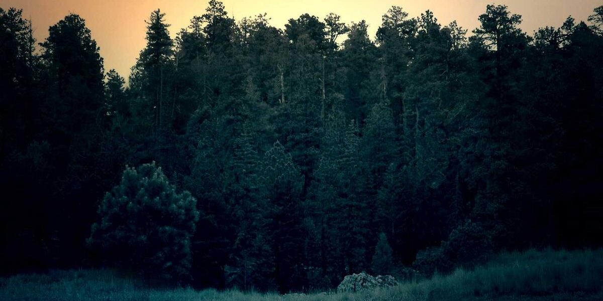 Cold Weather Cycling: Gear Selection for Winter Riding