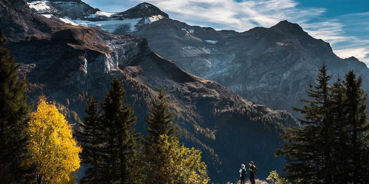 Top-Rated Fixed Gear Bikes: Reviews